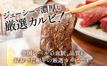 赤身 焼肉用 おおいた和牛 300g | 焼肉 津久見市
