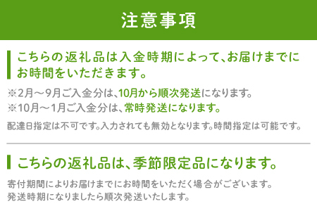 農薬化学肥料不使用の紫菊芋　5kg【菊芋 野菜 紫菊芋 芋 赤菊芋 農薬不使用 化学肥料不使用 季節限定 期間限定 数量限定 島根県 大田市】
