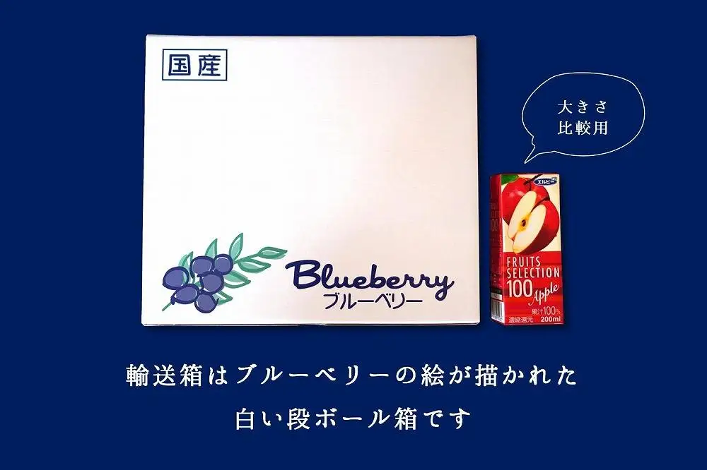 【2026年 予約受付】樹上完熟 フレッシュ ブルーベリー （無農薬・殺虫剤不使用） 500g （125g×4）