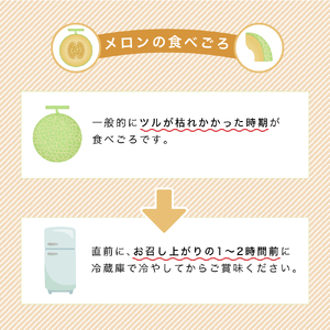 【2026年夏発送】富良野メロン 山部の絶品『鳳凰』3L 2玉 計4kg以上 メロン 赤肉 大玉 北海道