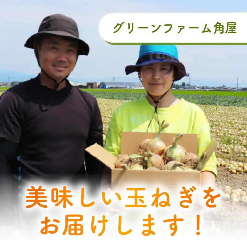 【先行予約】玉ねぎ 10kg（サイズ S M L ミックス）田んぼで育てた甘くて柔らか自慢の玉ねぎ！／ 野菜 玉葱 たまねぎ 甘い ※2026年7月上旬より順次発送予定 [aw056-a022]