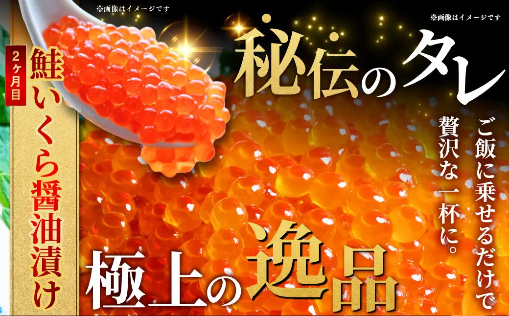 【3か月定期便】北の味覚海鮮3点定期便 いくら250g サーモン400g ほたて500g 海鮮丼 セット 鮭 シャケ サケ 魚卵 海鮮 海鮮セット 海鮮醤油漬 刺身 福袋 定期便 頒布会 3か月 3回
