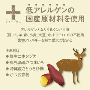 犬用おやつ サプリメント ビィ・プラス ベリィベリィ 3袋セット サプリ
