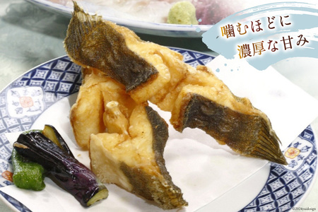 魚 黄金ひらめの活きジメ 1尾 [あゆの是則 宮崎県 日向市 452060877]