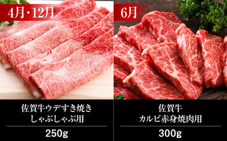 【全6回・偶数月】佐賀牛 牛肉定期便 約2-3人前 総計1.95kg 隔月発送 UCC008