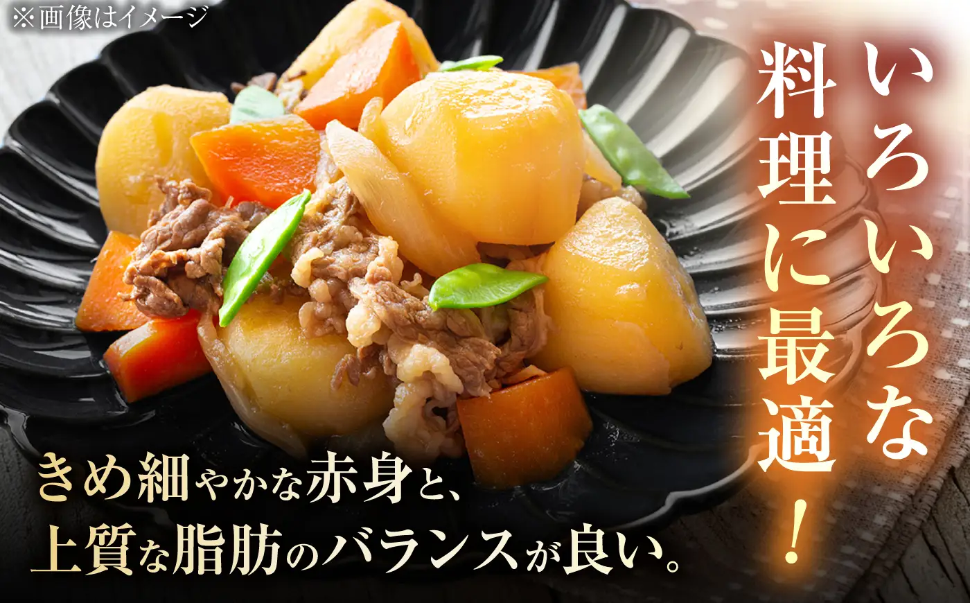 A4 A5 佐賀牛 切り落とし 670g /焼肉どすこい [UCC011] 牛肉 佐賀牛