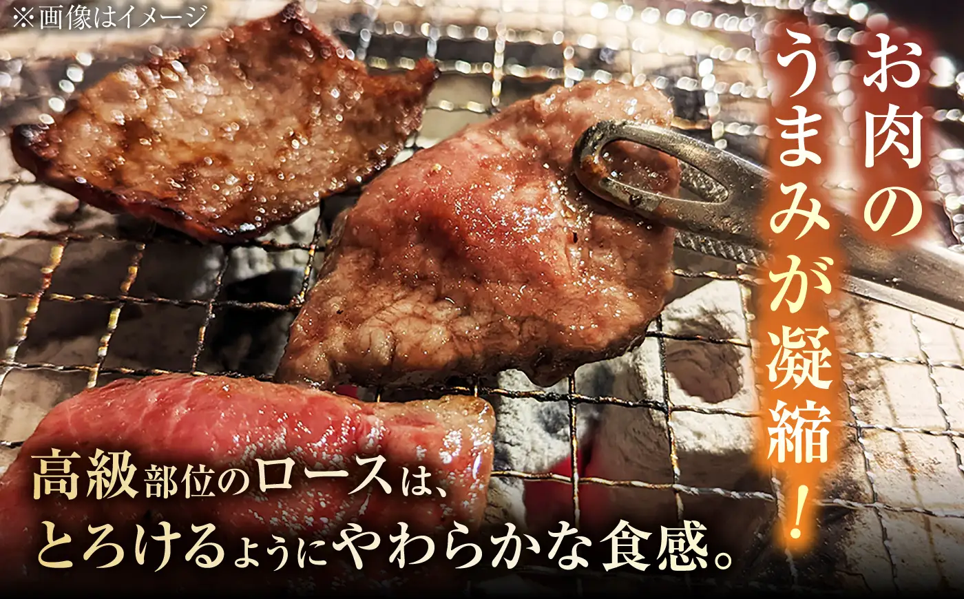 佐賀牛 焼肉用ロース 430g 2人前 /焼肉どすこい[UCC014] 佐賀牛焼肉