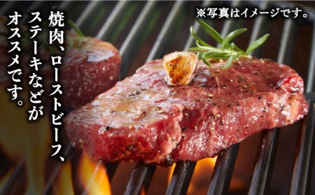 佐賀牛 ランプ肉 ステーキ 120g×2枚 /ステーキハウス児玉 [UCV005] 牛肉 肉 ランプ 赤身