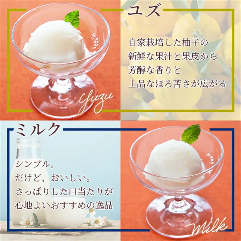 アイスクリーム まつが農園 アイスクリーム ギフト16個入り【 果物 フルーツ 旬 食品 添加物不使用 食べ比べ 詰め合わせ 詰合せ アイス カップアイス アイスクリーム シャーベット ギフト プレゼント 贈り物 おいしい アイス 神奈川県 南足柄市 】