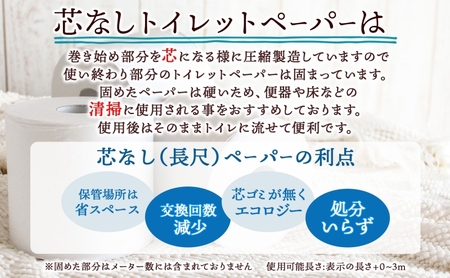 定期便 2ヶ月毎 全3回 芯なし トイレットペーパー 110ｍ シングル 12ロール×6袋 計72ロール 天使の時間 紙 ペーパー 日用品 消耗品 リサイクル 再生紙 無香料 厚手 ソフト トイレ用品 備蓄 ストック 非常用 生活応援 川一製紙 送料無料 岐阜県