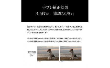 【Canon】 キヤノン ミラーレスカメラ EOS R10 レンズキット 18-150ｍｍ キャノン_0018C