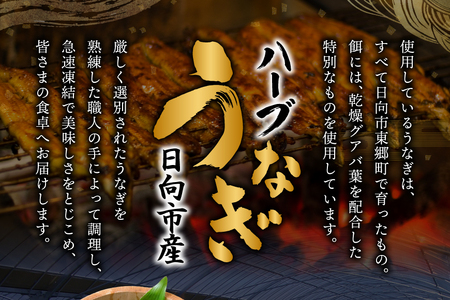 うなぎ 国産 宮崎 蒲焼 ハーブ 8尾 計1440g [452061245] うなぎ