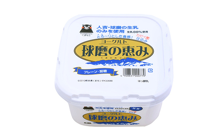 定期便3回 球磨の恵ヨーグルト 1kg×4パック【配送不可：沖縄、離島】 乳製品 発酵食品 朝食 間食 新鮮 生乳 とろ～り もっちり 酸味がない 加糖 4個セット 3回お届け 大容量 