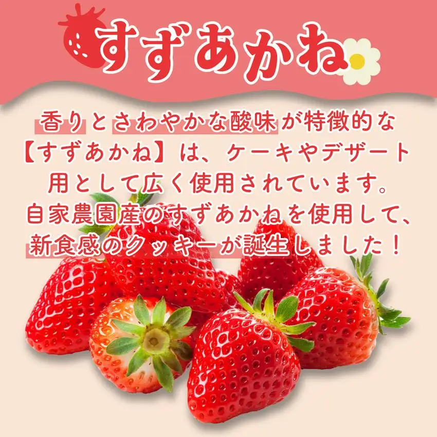 [5525-0765]伊達産すずあかねから生まれた【森のおくりもの】ストロベリー・ショコラクッキー 20個