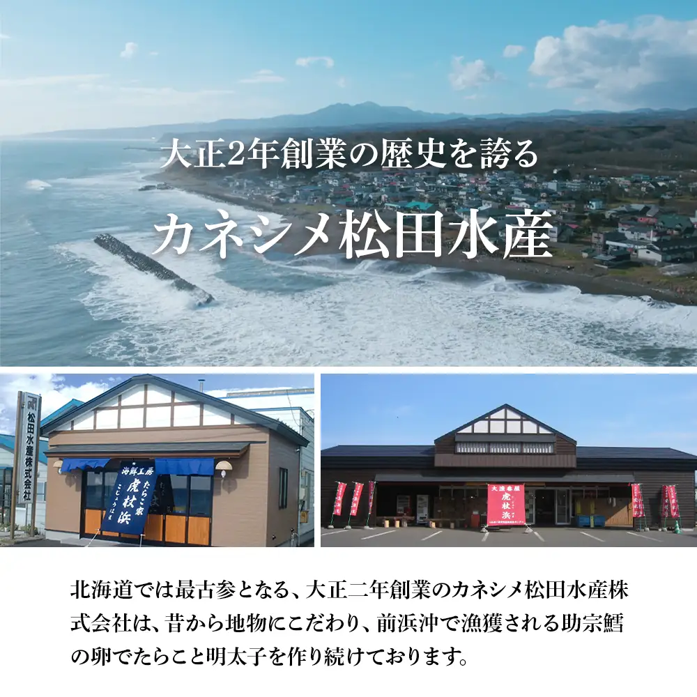 2ヶ月に1度 定期便 全3回 低温熟成 一夜干し お楽しみ 詰め合わせ AA028