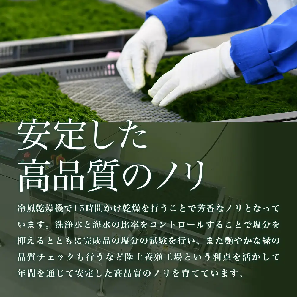 すじあおのり 5ｇ×2パック 南伊勢 青の香り / 海藻