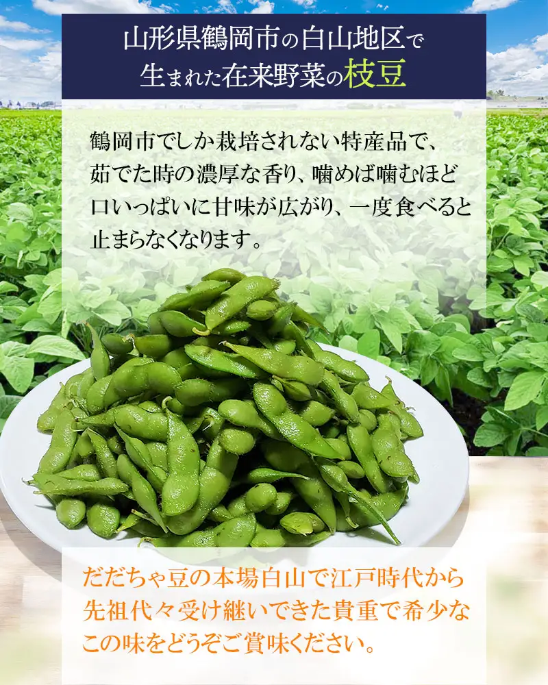 【令和8年産先行予約】【訳あり】本場白山産 白山だだちゃ豆 【白山(しらやま)】 2kg（500g×4袋）　農家 長四郎