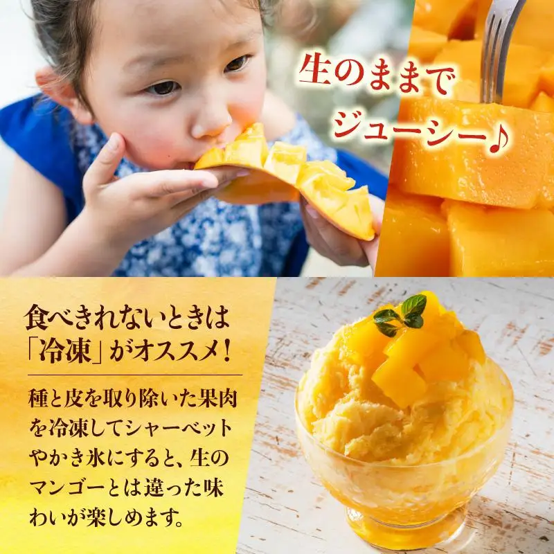 石垣島 マンゴー 約1kg