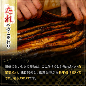 ＜希少＞ 鹿児島県産 うなぎ 肝串 20本 うなぎ【00-025-02】