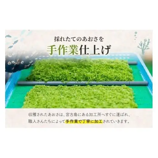 宮古島の環境だから実現できた『オーガニックあおさ』6袋セット（GF002）