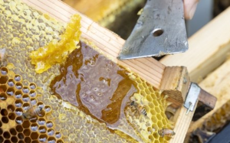 樋口養蜂場 国産百花はちみつ 1kg　ハニー 蜂蜜 ハチミツ