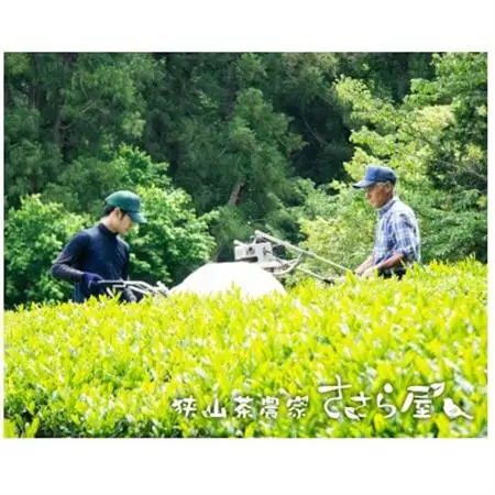 狭山茶ティーバッグセット　むらどり(6種 飲み比べセット)【1298152】