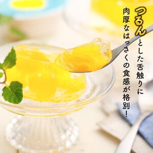 因島のはっさくゼリー 15個セット ゼリー