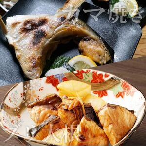 土佐清水産天然ぶり まるごと１本（5kg～8kg）下処理あり（内臓除去済）【※着日指定不可※】鮮魚 鰤 ブリ ぶり大根 刺身 ぶりしゃぶ 天然【R00874】