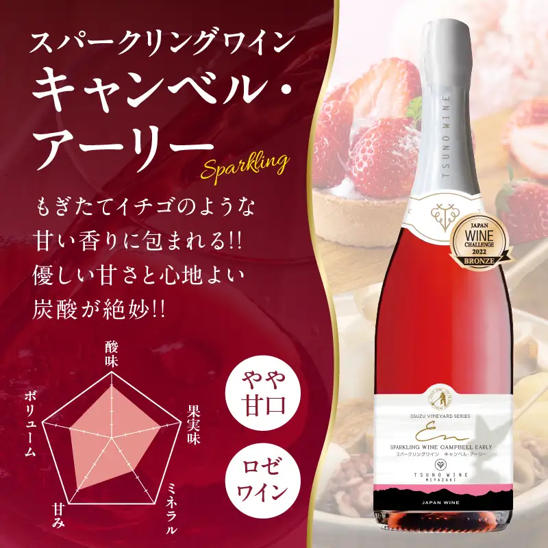 都農ワインセレクトセット(合計3本) 酒 飲料 アルコール 国産_T014-0015