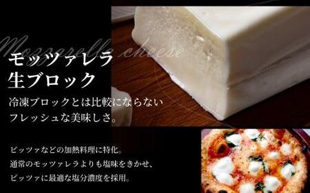 飛騨生乳100％ リコッタチーズ 1個（250g）& モッツァレラチーズ生ブロック 1個（750g）| リコッタ モッツァレラブロック 冷蔵 サラダ お菓子 低温殺菌 新鮮 国産 乳製品 無添加 飛騨高山 チーズ工房トリデンテ LF007
