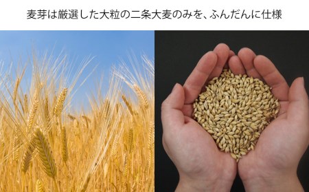 クラフトビール 10種30缶 飲み比べ セット | クラフトビール 地ビール 軽井沢ブルワリー