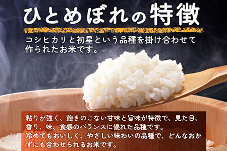 【白米】 ＜通算5回 特A＞ ひとめぼれ   5kg 令和7年産 農家直送 渡部さんのひとめぼれ [ひとめぼれ 米 お米 こめ 白米 精米 ブランド米 食卓 おにぎり 秋田県産 秋田県 由利本荘市]