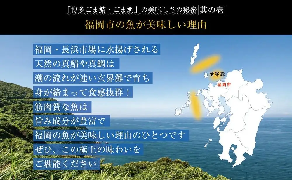 博多名物 ごま鯖 800g (100g×8個) セット 詰め合わせ 長浜市場水揚げ 天然真鯖使用 大容量 小分け 天然 真鯖 長浜市場 水揚げ 刺身 ごまさば 鯖 海鮮 お茶漬け お茶漬けの素 出汁茶漬け 惣菜 ご飯のお供 おつまみ つまみ 酒のつまみ 博多 福岡市