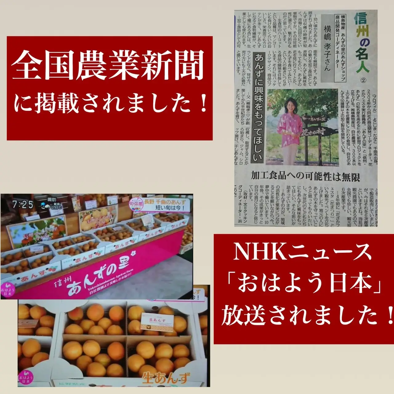 人気 セミドライ（半生あんず）横島あんず40ｇ×3袋セット｜ あんず