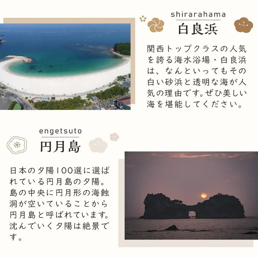 ◆【白浜町、那智勝浦町、上富田町】JTBふるさと旅行券（30,000円分）有効期間5年 | 予約 宿泊 観光 体験 温泉 ホテル 旅館 チケット 子供 子連れ カップル 家族 店頭 電話 白浜