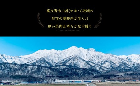 【2026年6月～発送】富良野メロン 4～5玉 計約8kg (NORTH FUN) メロン フルーツ 果物