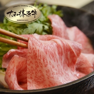 (冷凍) 肉料理 うし源 すき焼き セット サーロイン 2人前 400g／うし源本店 お取り寄せグルメ A5 黒毛和牛 父の日 奈良県 宇陀市 お中元 贈答用 贈り物 暑中見舞い お土産 お歳暮 内祝いまとめ買い 美味しい部位 キャンプ 正月