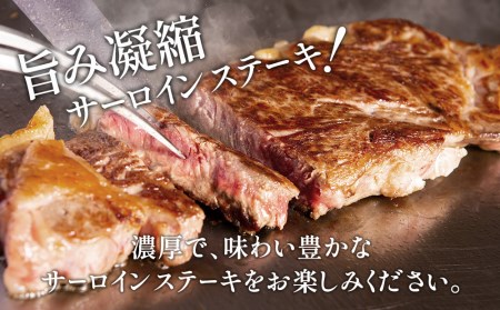 おおいた和牛 サーロインステーキ 約180g×2枚(合計360g) | 津久見市