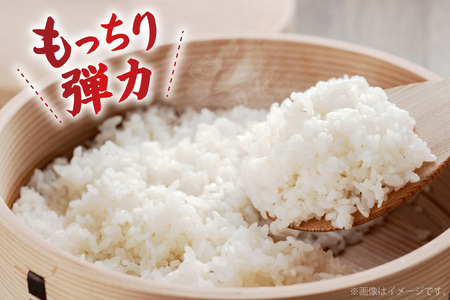 【俺の米】米 令和7年 コシヒカリ 無洗米 11kg [薄井 大地 長野県 池田町 48110782]