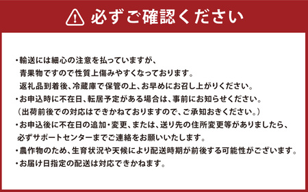 【先行受付】十勝の青空と恵みの水で育った「とかち雫いちご」【A62】2026年4月下旬より順次発送予定