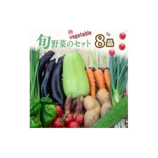 【 野菜詰め合わせ 】 旬の野菜詰め合わせ 8品程度 セット