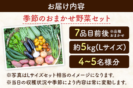 自然栽培 春夏 季節のお任せ野菜セット Lサイズ