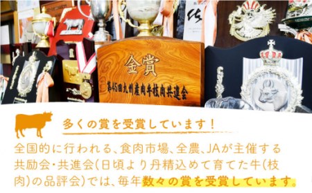 【定期便】 牛肉 佐賀牛スライス 総計6.0kg NAB043 牛肉 全12回