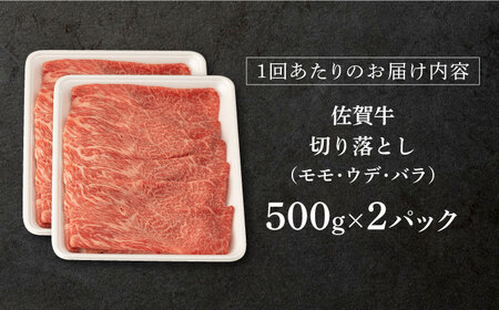 【定期便】 牛肉 佐賀牛切り落とし 総計12.0kg NAB055 牛肉 全12回