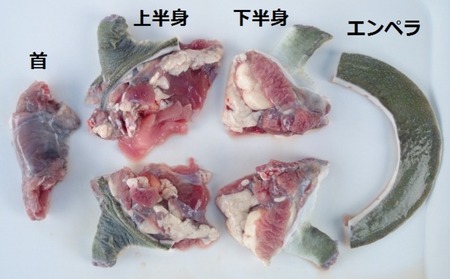 【オキハム】自社養殖！四つ切り「琉球すっぽん」