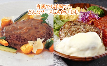 鉄板焼！JGハンバーグヴィアンド 2.2kg(110g×20個) FZ22-452