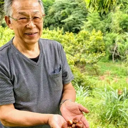 【冷凍でのお届け】天然栗をふんだんに使った「モンブラン」(3個セット)【配送不可地域：離島】【1363177】