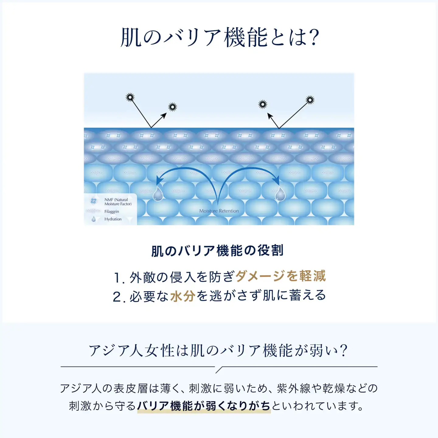 エスティ ローダー マイクロ エッセンス ローション BF 200mL 【 エスティローダー マイクロエッセンス ローション MEL 化粧水 Estee Lauder EsteeLauder 公式 スキンケア 美容 化粧品 コスメ 】