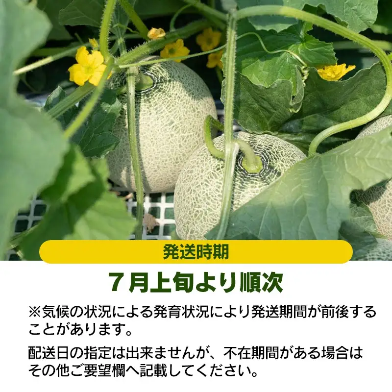 【令和8年産先行予約】お楽しみメロン 3L 5玉セット または 2L 6玉セット 山形県庄内産 K-860　JA鶴岡　| メロン めろん フルーツ 果物 くだもの 夏 旬 デザート 産地直送 山形 鶴岡 庄内 東北 人気 おすすめ 美味しい 国産 お取り寄せ 返礼品