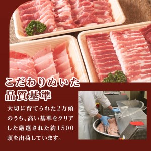 玉城豚小間切れ・バラスライスセット [肉 豚肉]